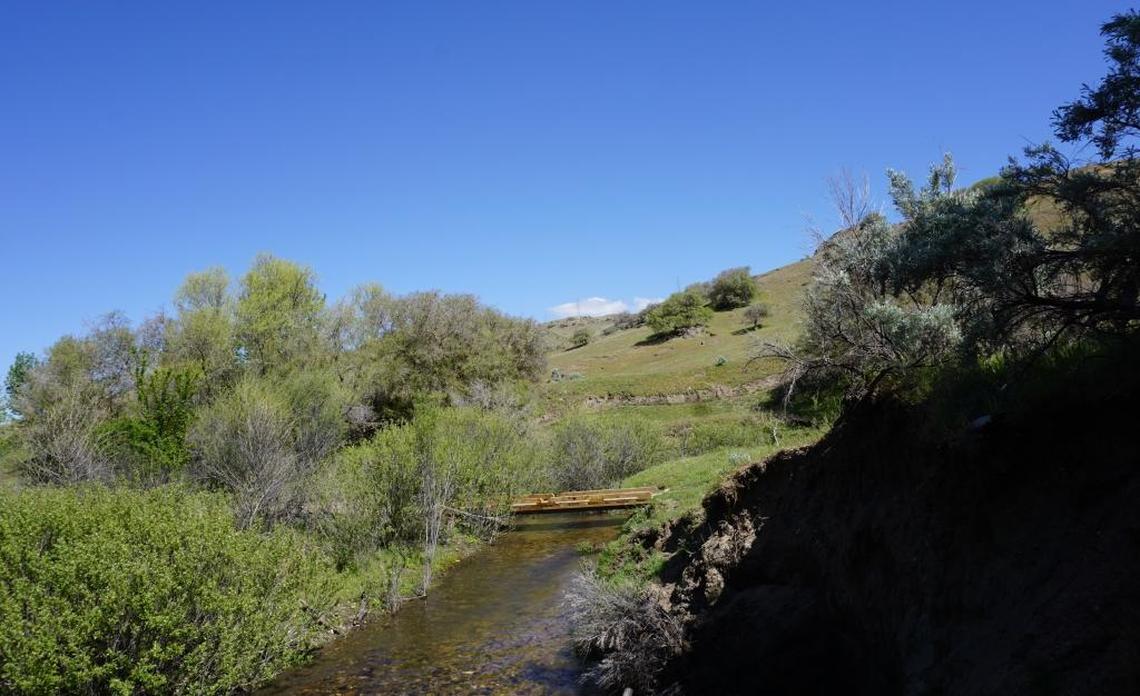 A bridge provides a dry way to cross the creek.