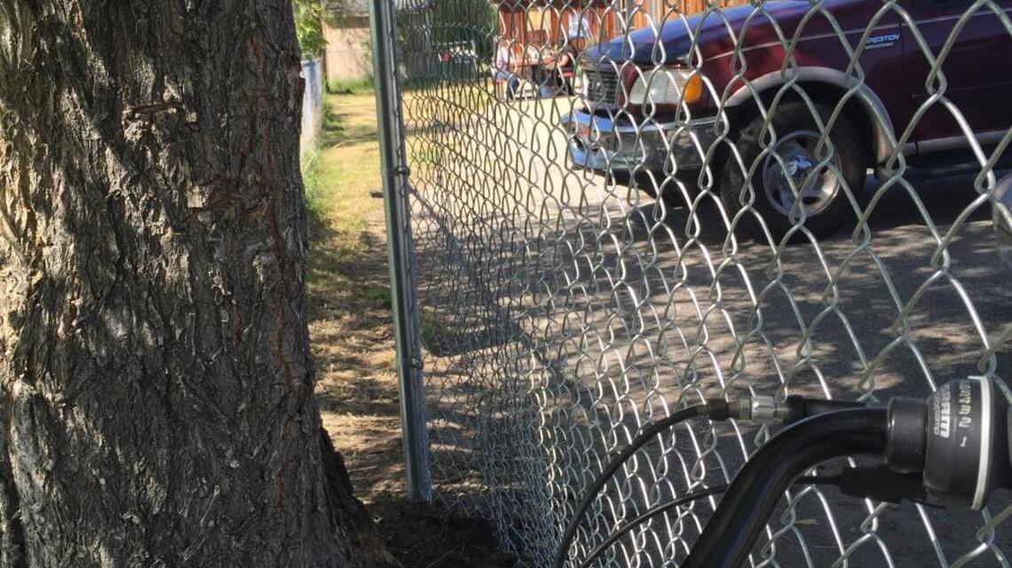 Ben’s Crow Inn plans to remove protest fence along Greenbelt