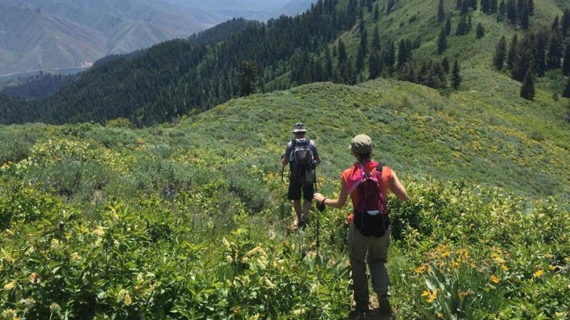 USDA to end rule that kept logging from national forests. What’s it mean for Idaho?
