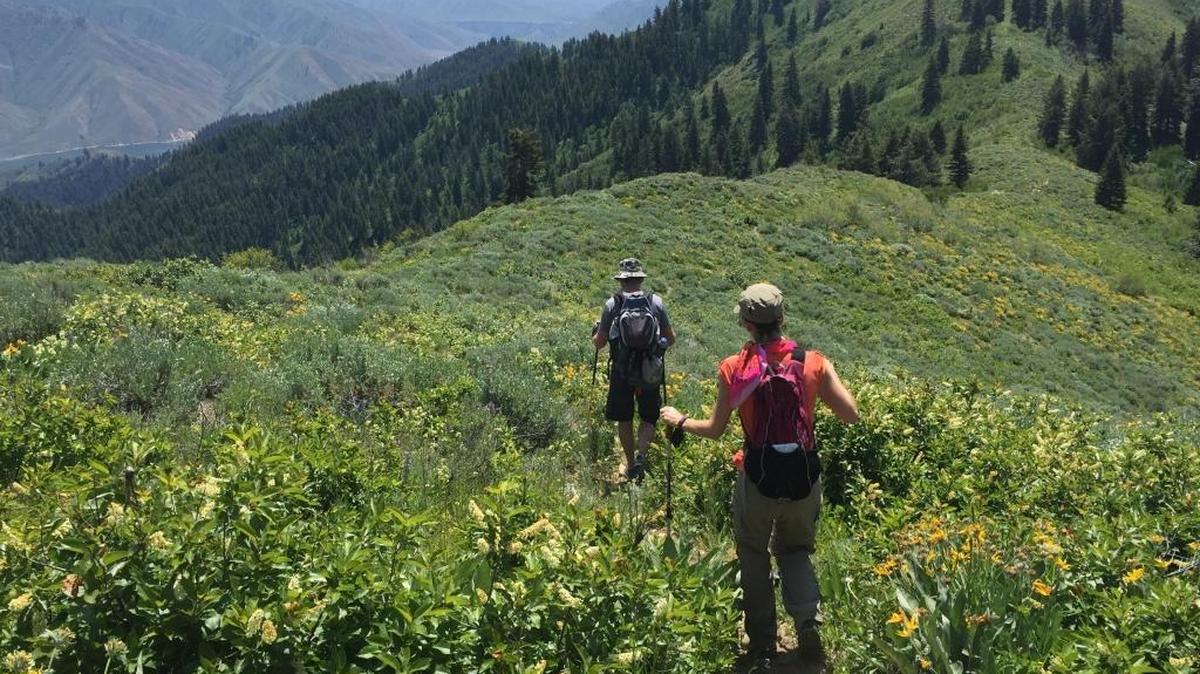 Mt. Heinen near Boise is part of the Idaho roadless area.