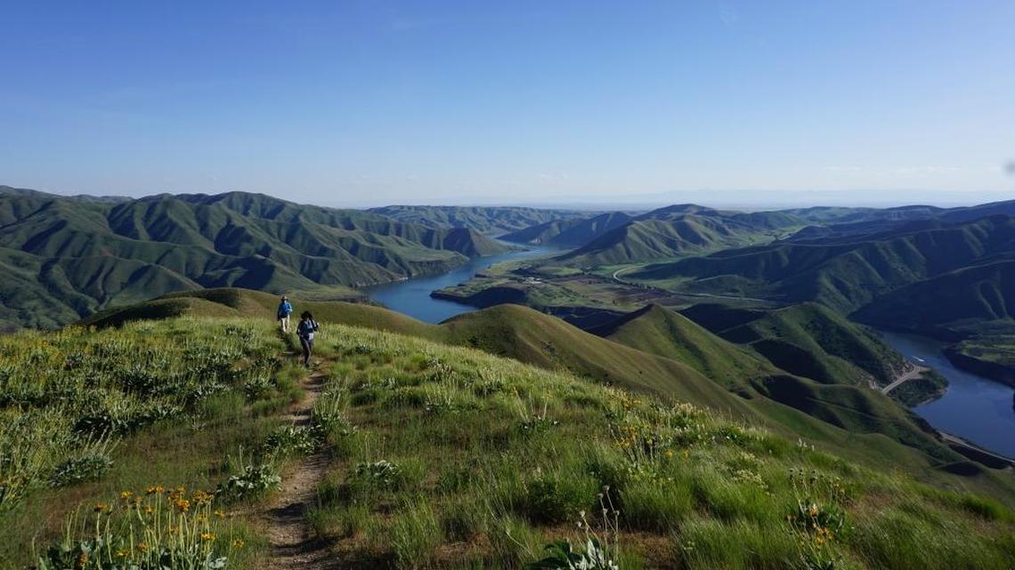 The Cervidae trail climbs quickly and steeply above Lucky Peak Lake. The primary route covers 1,854 vertical feet in just 2.25 miles.