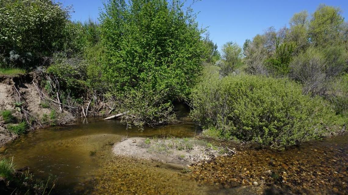 The valley tucked into the Foothills includes a scenic creek.