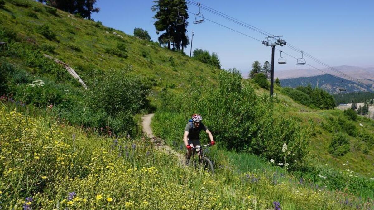 John Hart, a former Bogus Basin marketing director, bikes along the Deer Point trail.