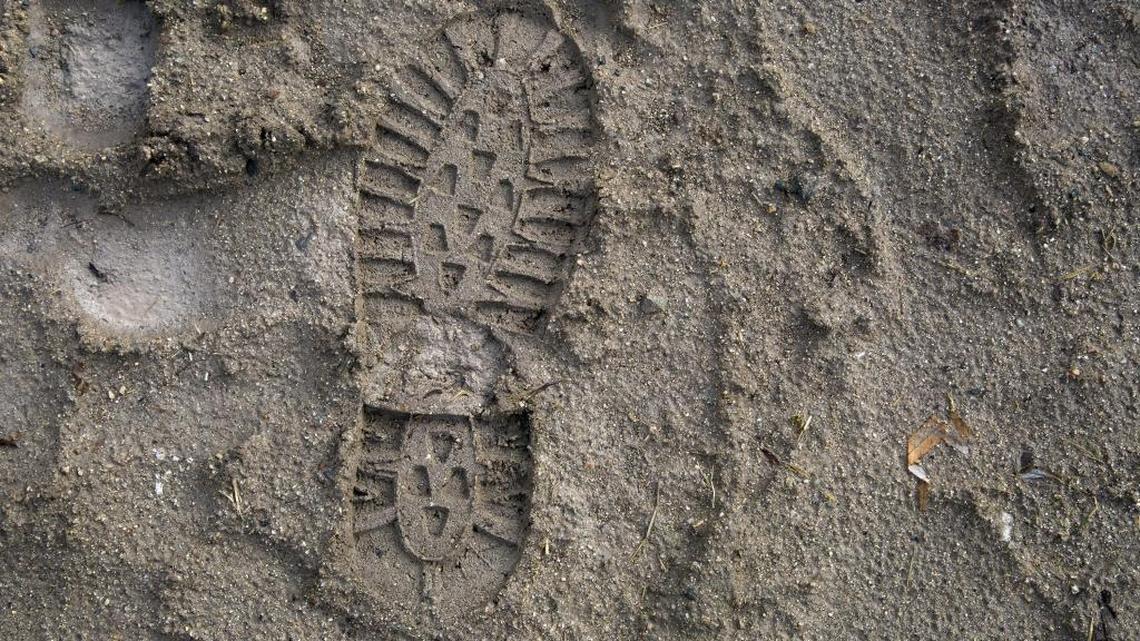 The surest sign that people are using muddy trails: the shoeprints they leave behind.