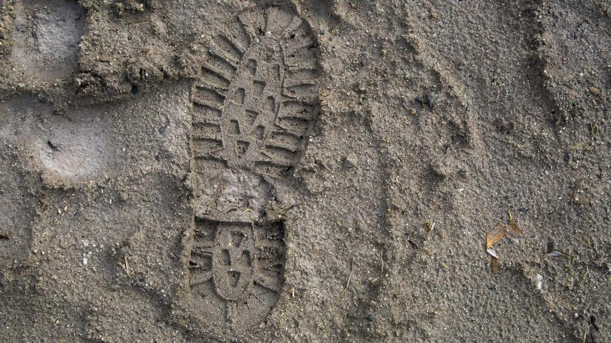 The surest sign that people are using muddy trails: the shoeprints they leave behind.