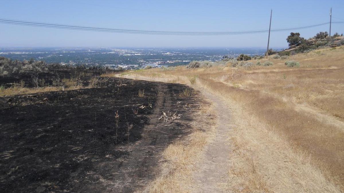 The fire burned both sides of many of the Table Rock trails but skirted the Homestead trail to the east.