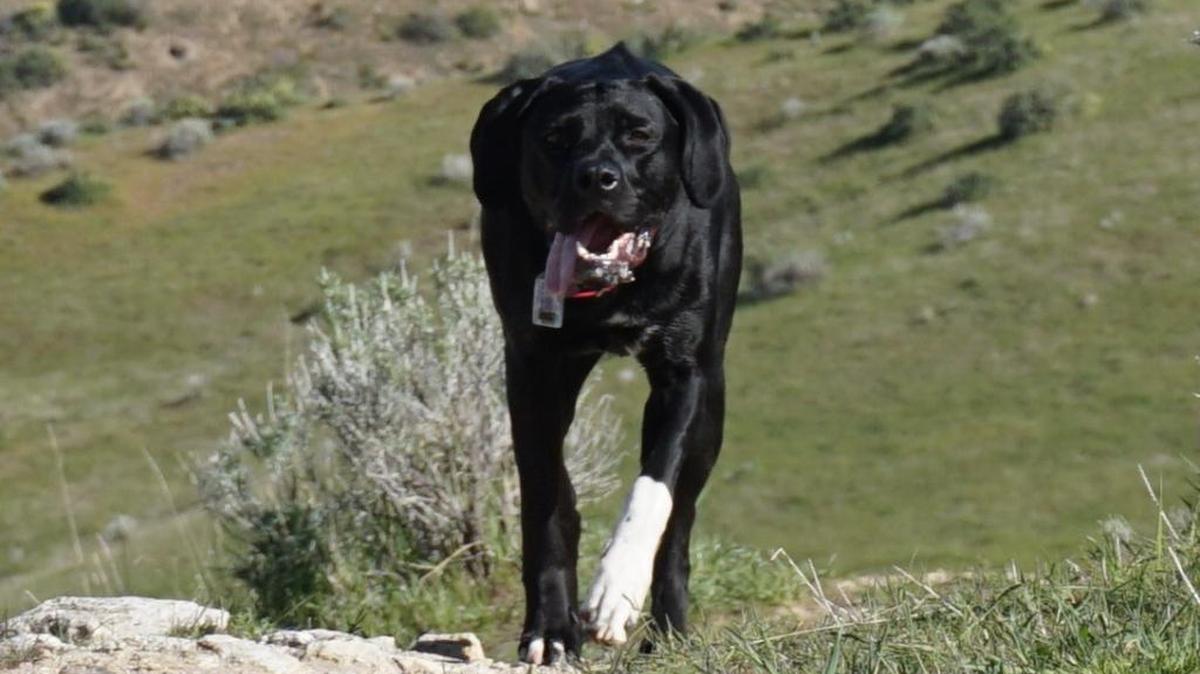 This girl was a little tired when she reached the plateau at the junction between the Corrals and Scott’s trails — but she beat her bike-riding friends.