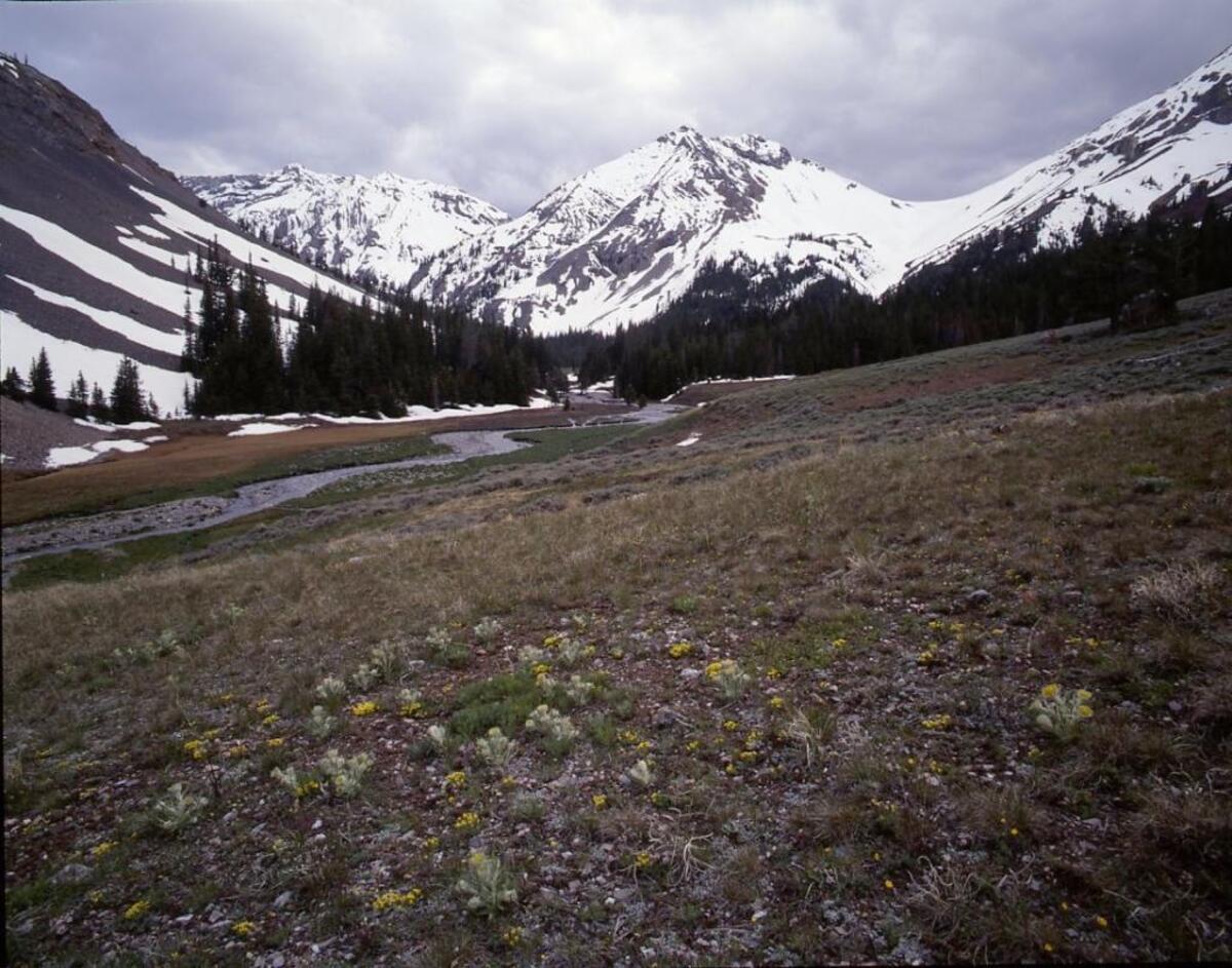 This is the view Jay Krajic saw of Ryan Peak from the east about 15 years ago.