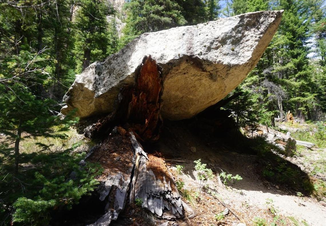 This boulder smashed two trees when it fell down the mountain.