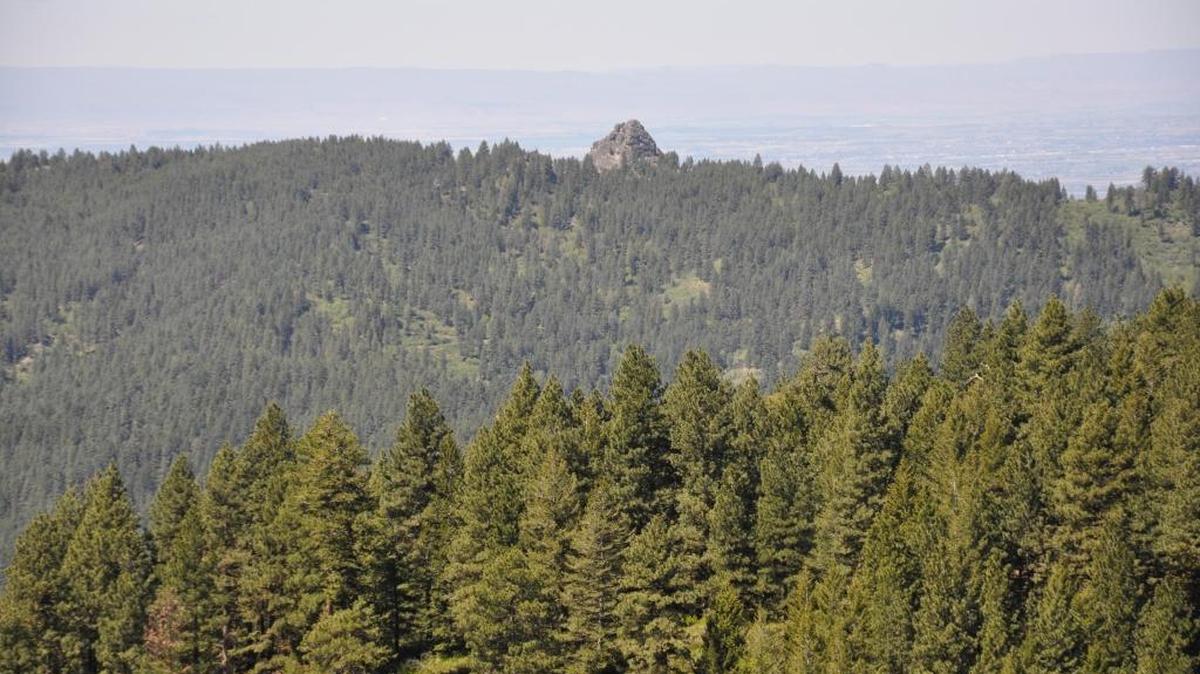 Stack Rock Reserve draws many recreationists into the upper Foothills, particularly in summer.