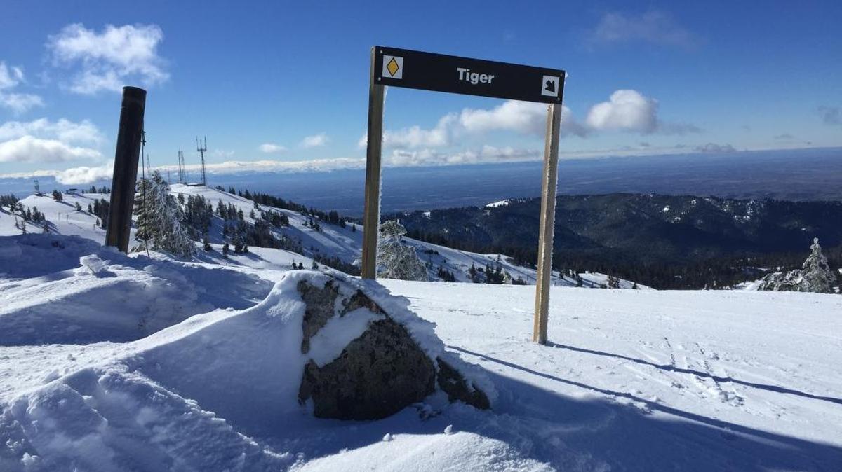 Tiger is one of the steepest, slickest runs at Bogus Basin.