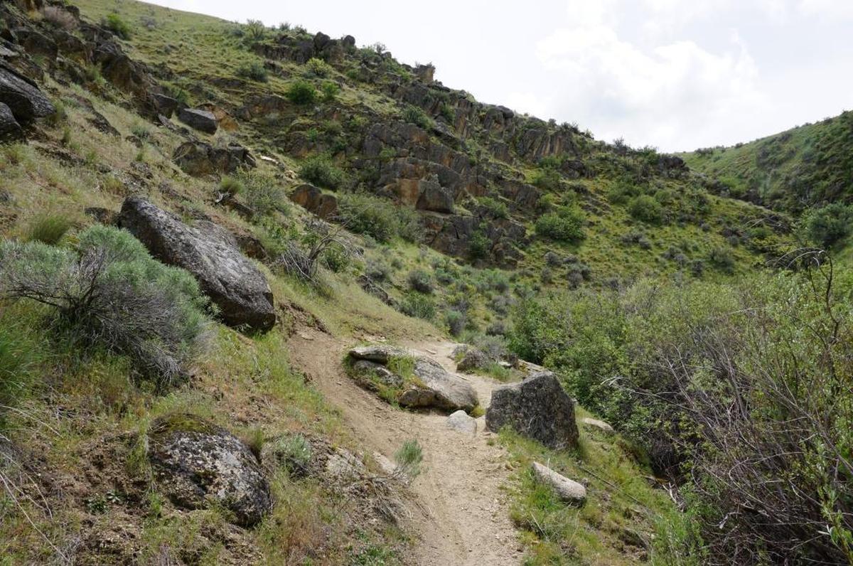 The Spring Valley Creek trail at Avimor has some technical sections for mountain bikers because of rocks embedded in the trail.