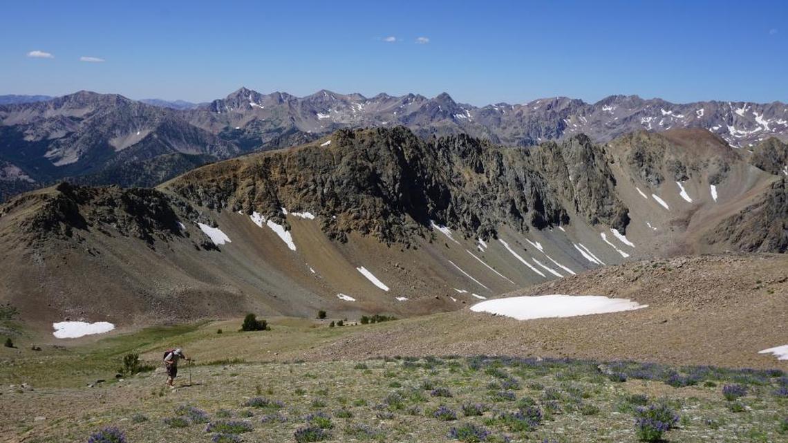 Does a bear poop in the woods? Duh. Do you? Here’s the right way to do it, Idaho experts say