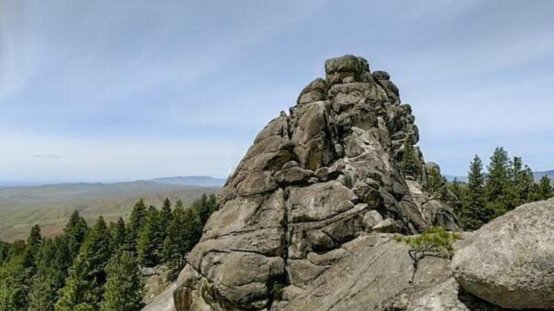 Logging will close some Boise trails near Bogus Basin Road. Here’s when and why