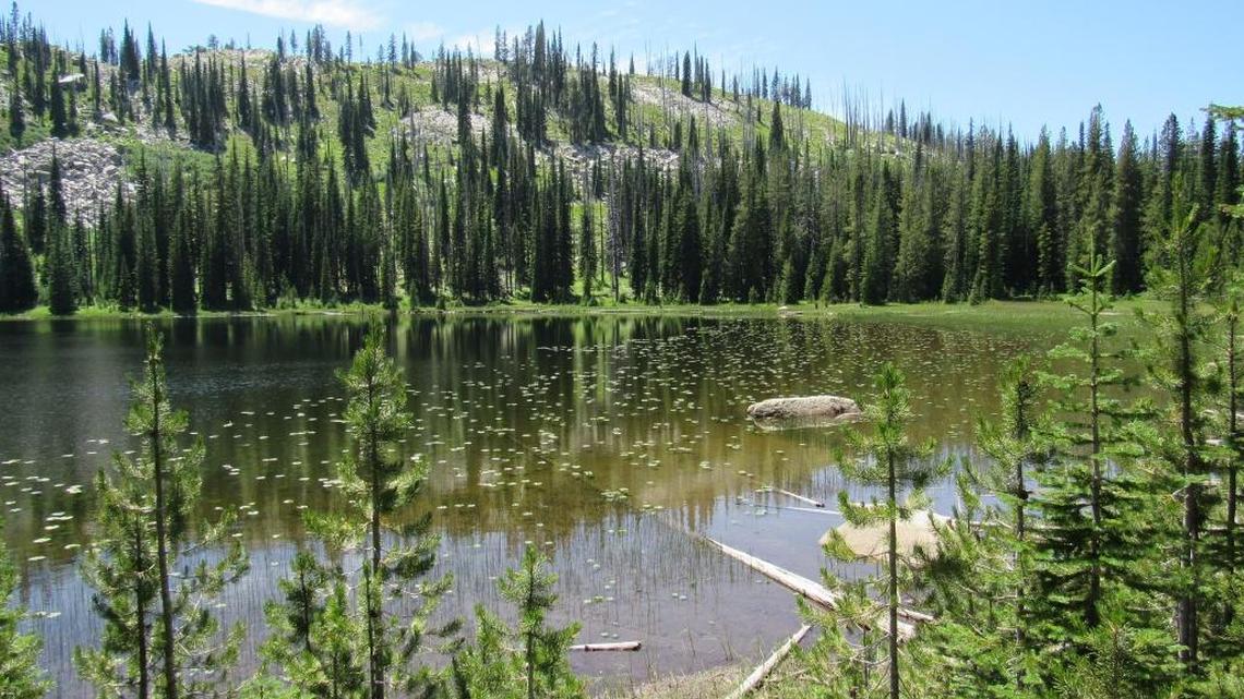 High-mountain lakes offer a serene fishing experience.