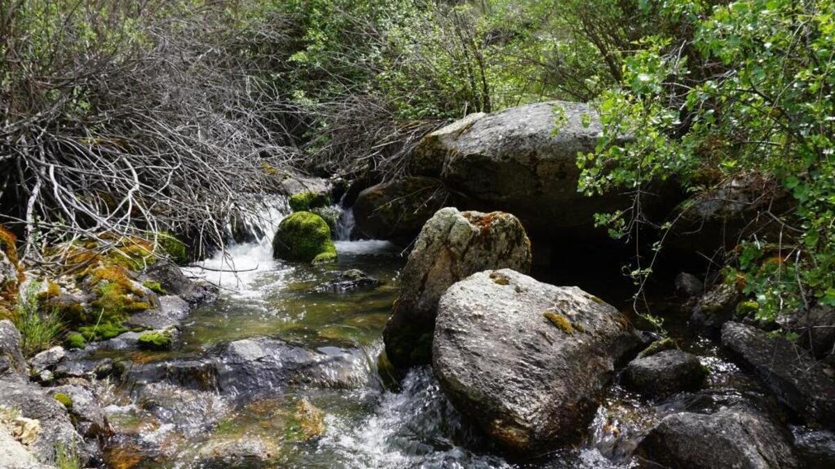 Add Avimor to your rotation of Foothills hikes, rides | Idaho Statesman