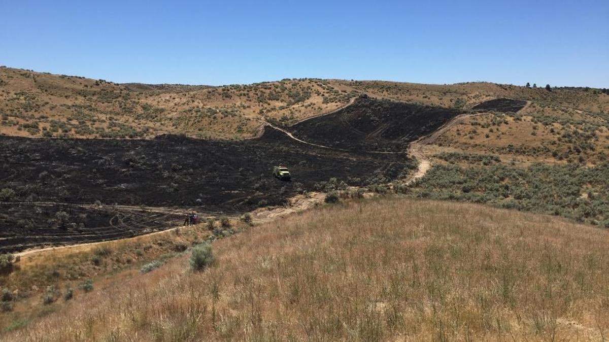 The Big Springs fire burned the area around three Ridge to Rivers trails last week.