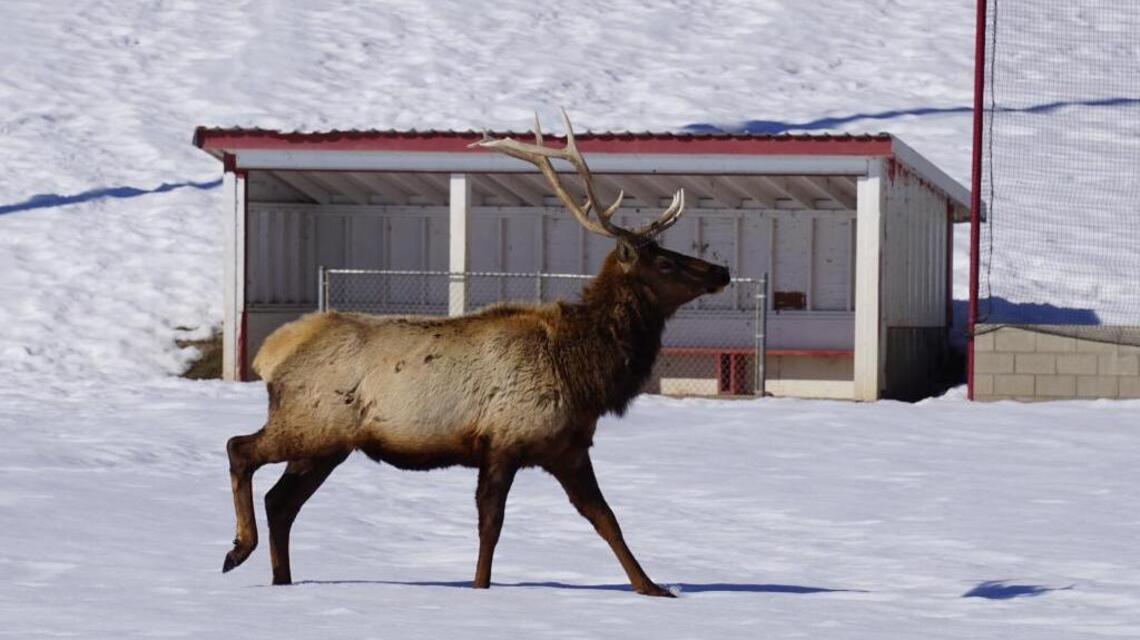 Idaho? Not such a safe place, study says. But we do have America’s safest small town