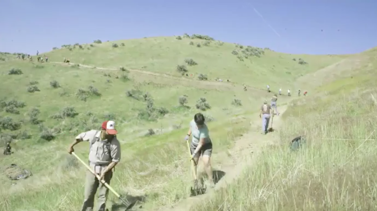 The Hippie Shake Trail was built last year in the Hillside to the Hollow Reserve. A time-lapse video of the project is part of the Les Bois Film Festival on Saturday.