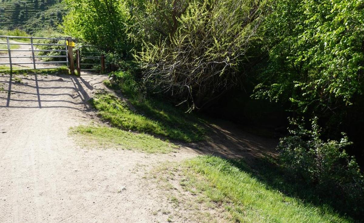 This shady spot is a nice place to take a break on the way up Corrals Trail.