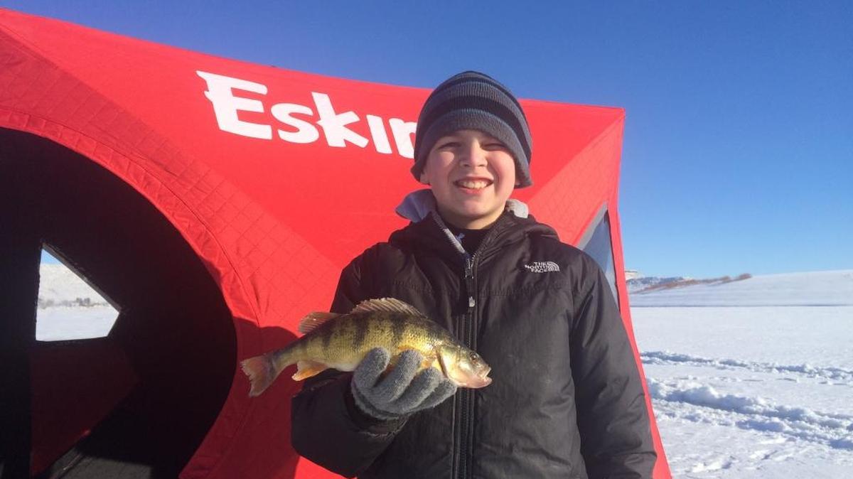 A perch caught at Magic Reservoir.