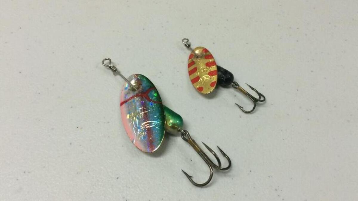 Our new feature in the weekly fishing report will highlight a lure of the week. Here’s the Panther Martin.