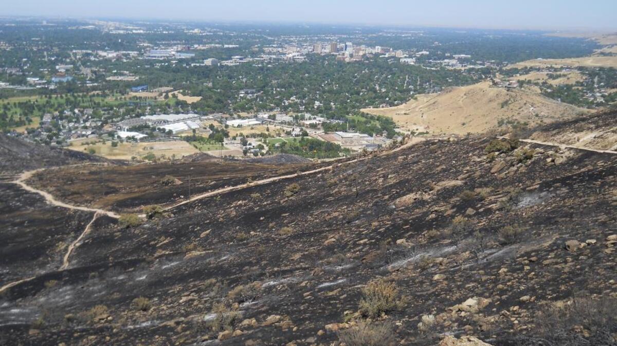 The usually scenic view from above Boise is blackened.