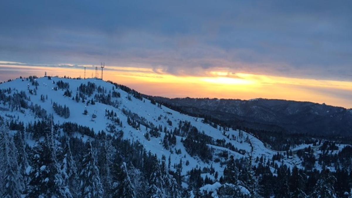 The Boise National Forest proposes to remove some trees and plant new ones to improve forest health at Bogus Basin.