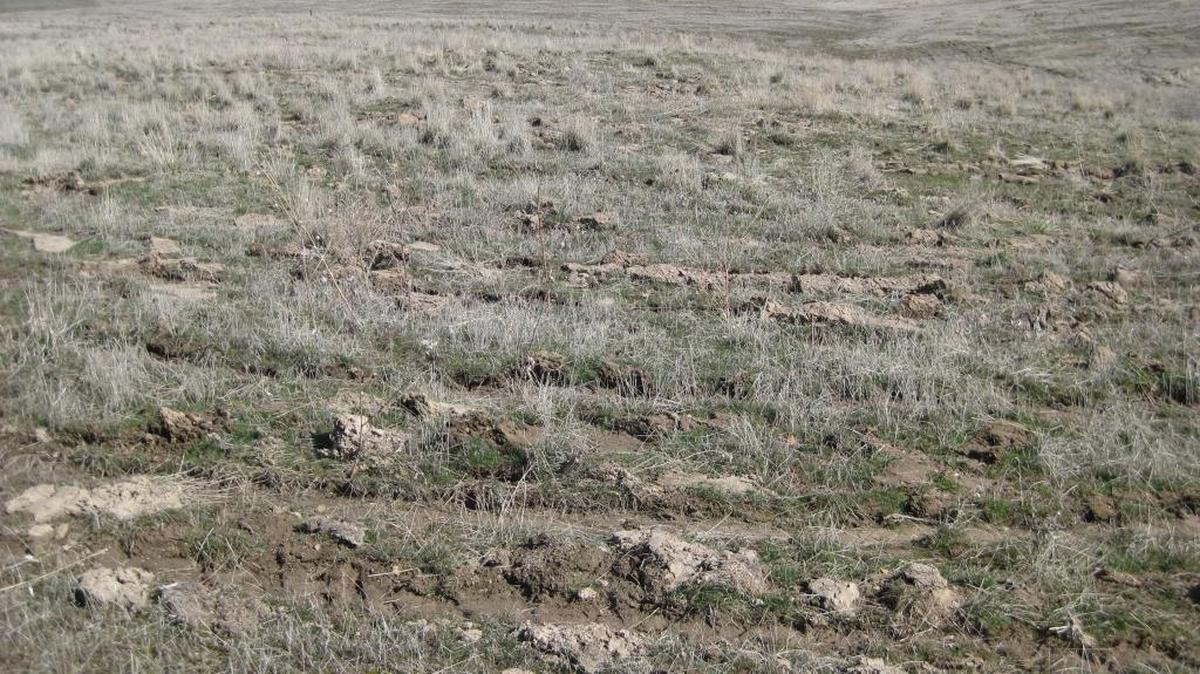 Lynne Bachman expressed concern about the habitat-restoration efforts at Hammer Flat east of Boise. Idaho Fish and Game provided a lengthy, detailed explanation.