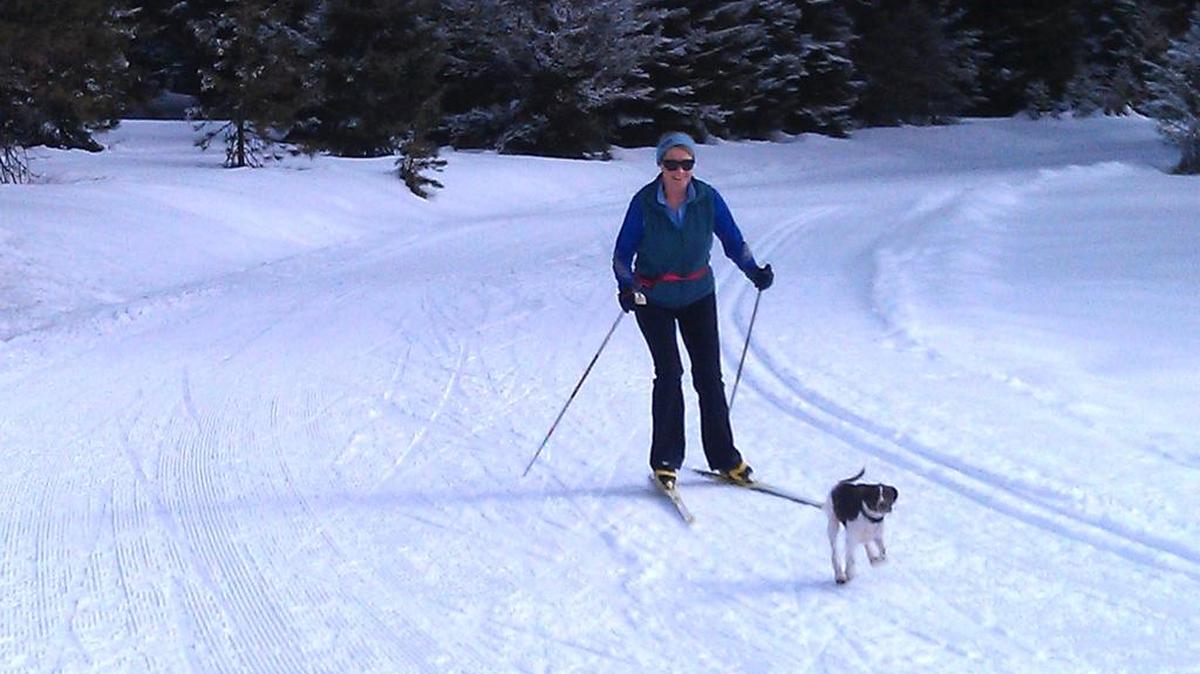 Some cross country skiing trails allow dogs; others don’t. Be sure to find out if you can take your dog before you go.