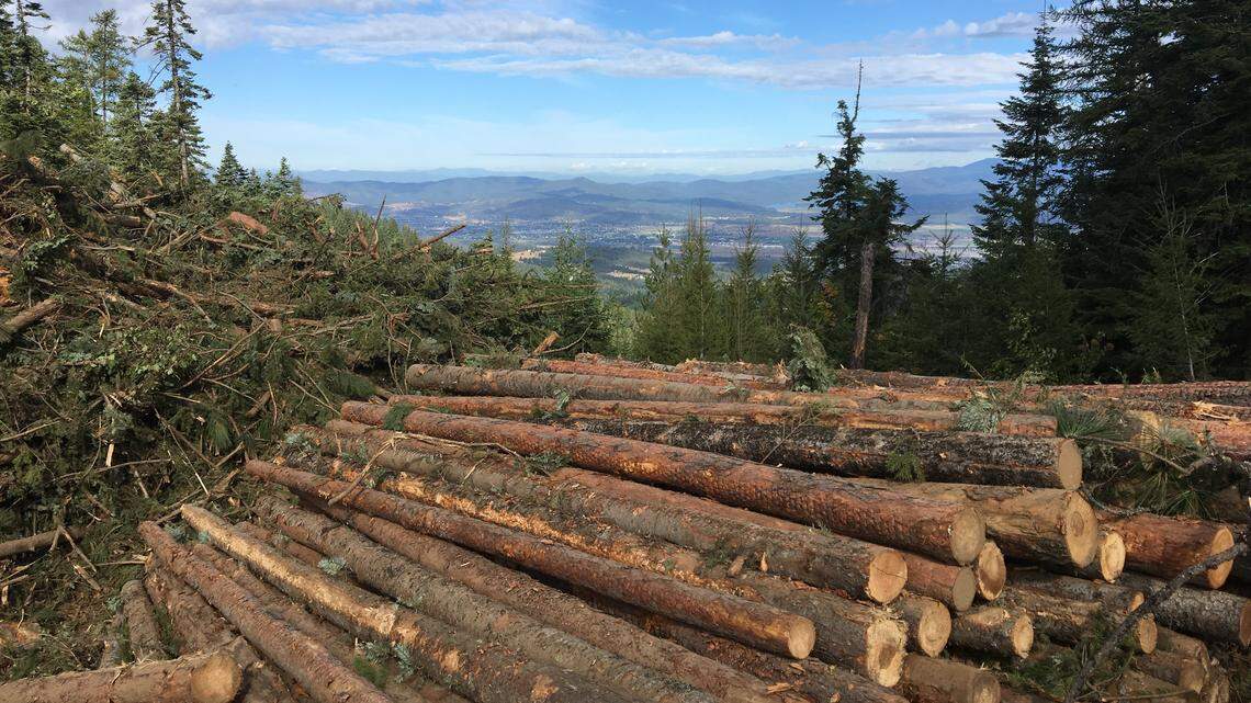 Idaho Gov. Little aims to ‘complement’ Trump order with this wildfire plan