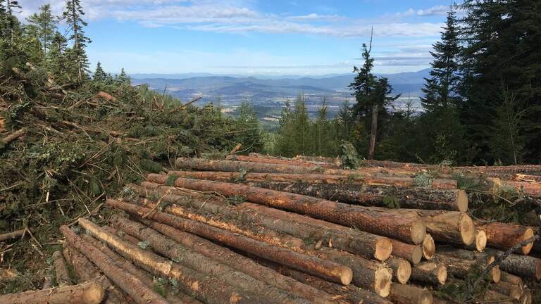 Idaho Gov. Little aims to ‘complement’ Trump order with this wildfire plan