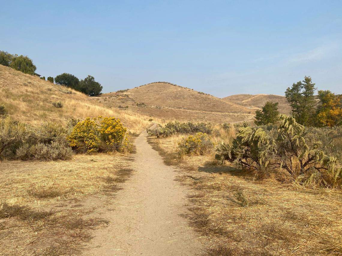 The foreground portion of this trail will become the site of a new trailhead and parking lot at the end of a slightly extended North Harrison Hollow Lane.
