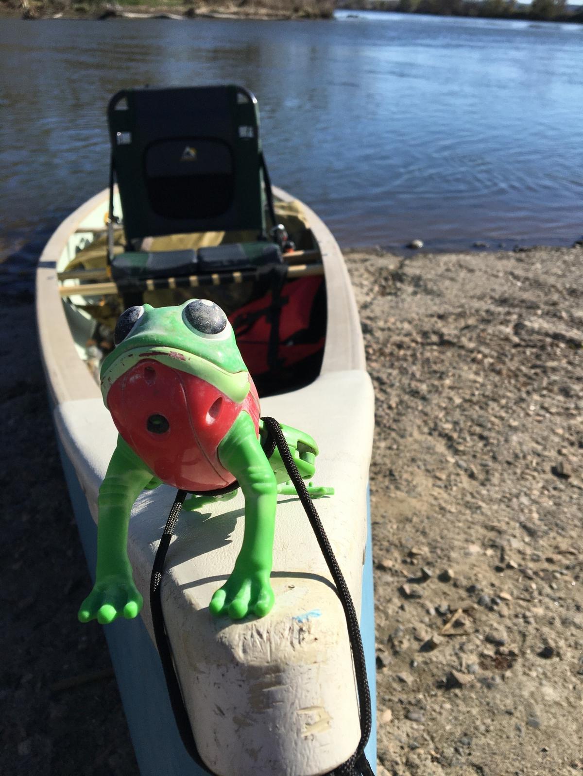 This is Freddy, who became our trip’s official mascot after we found him floating among the reeds at the rapids at Fisherman’s Point just past Swan Falls Dam on the Snake River. Freddy kept us safe, as we did not dump the canoe once during our 206-mile trip.