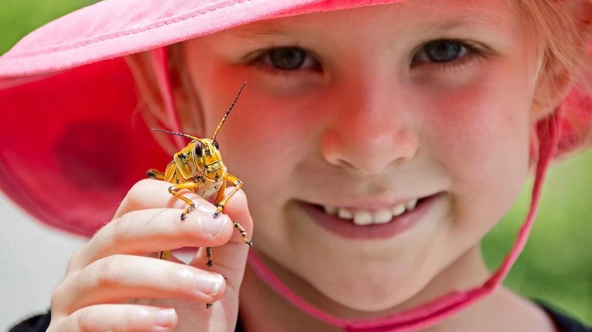 Introducing kids to nature is the goal of a series of books by Ohio writer and photographer David FitzSimmons.