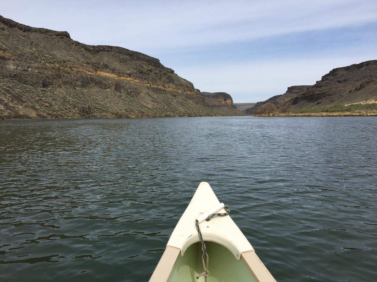 It was the perfect morning on our fourth day on the water, as we entered a beautiful canyon just upriver from Swan Falls Dam on the Snake River on a cool, calm, isolated stretch.
