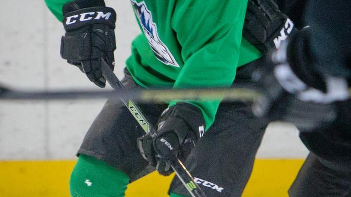 Idaho Steelheads player Emil Molin
