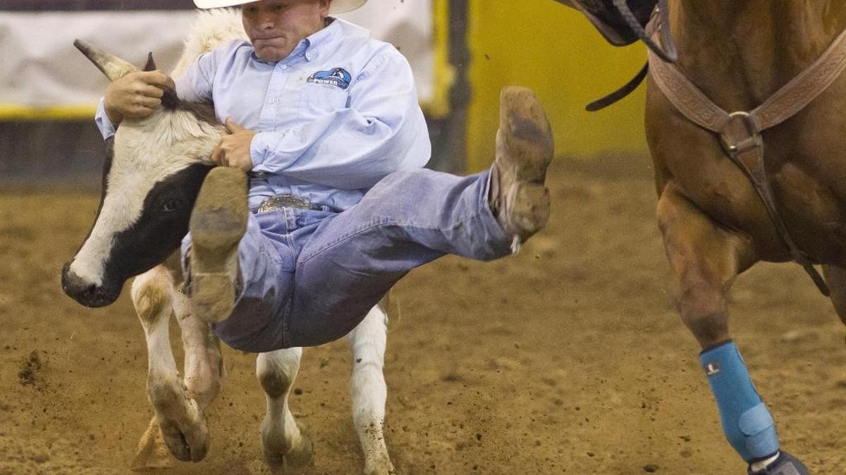 Coltin Hill of Blackfoot recorded a time of 4.6 seconds in steer wrestling Tuesday, opening night of the Snake River Stampede at the Ford Idaho Center in Nampa.