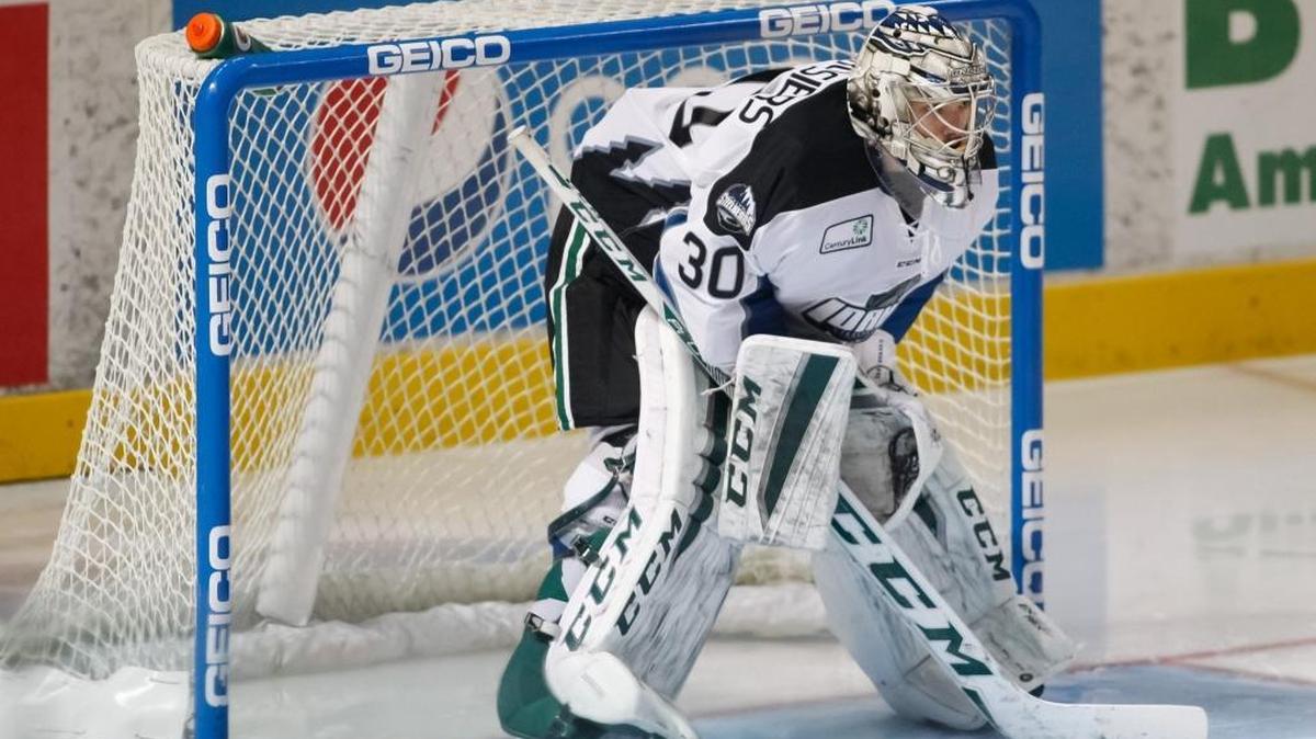 The Idaho Steelheads take on the Rapid City Rush at CenturyLink Arena on Oct. 17, 2015.