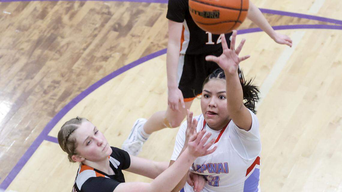 2A All-Idaho girls basketball team: See who earned the all-state awards