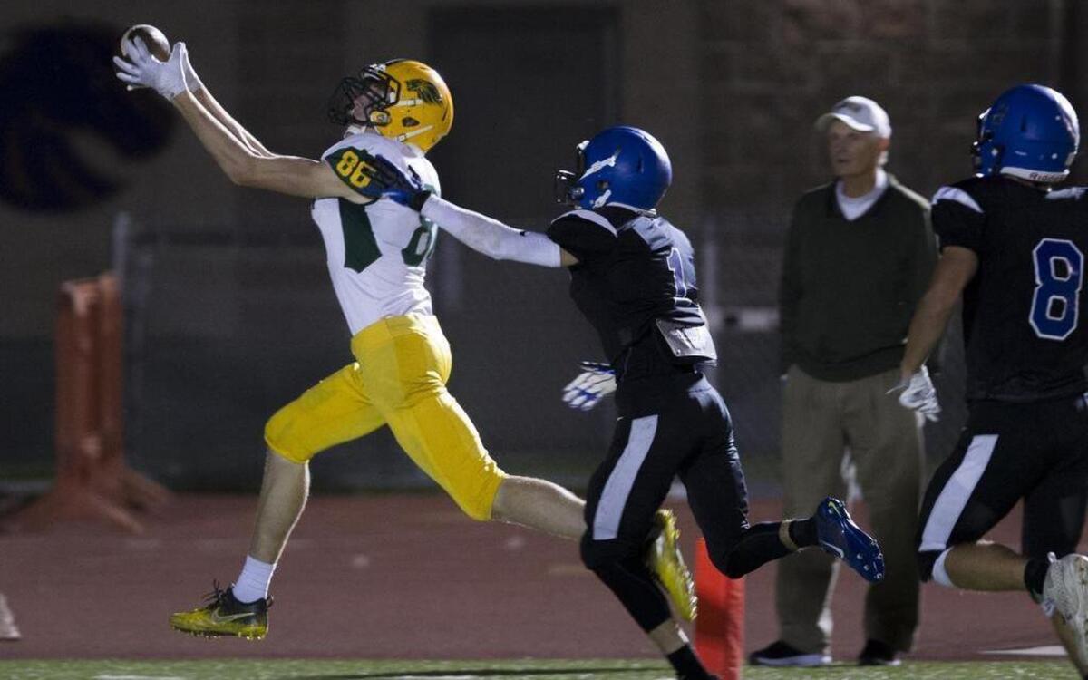 Borah wide receiver Austin Bolt snares a 31-yard touchdown pass from quarterback Jake Standlee with 42 seconds left in the first half Friday at Dona Larsen Park.