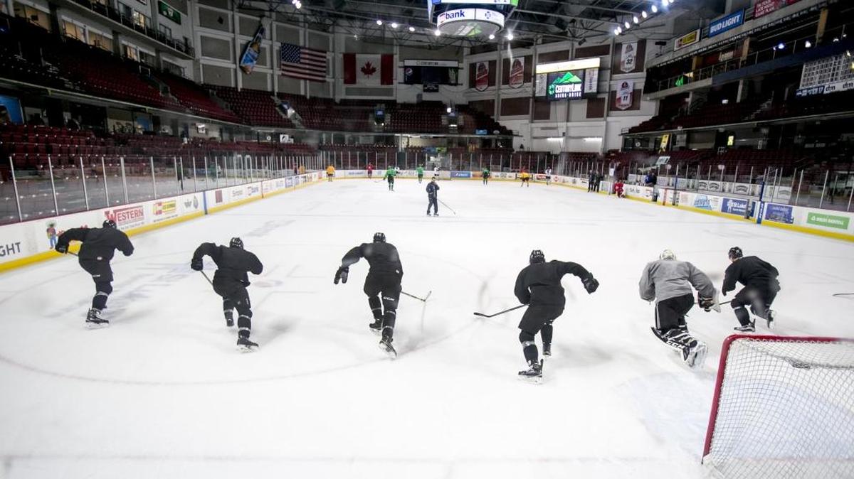 The Steelheads open their 20th season of minor-league hockey in Downtown Boise on Friday and Saturday nights at CenturyLink Arena.