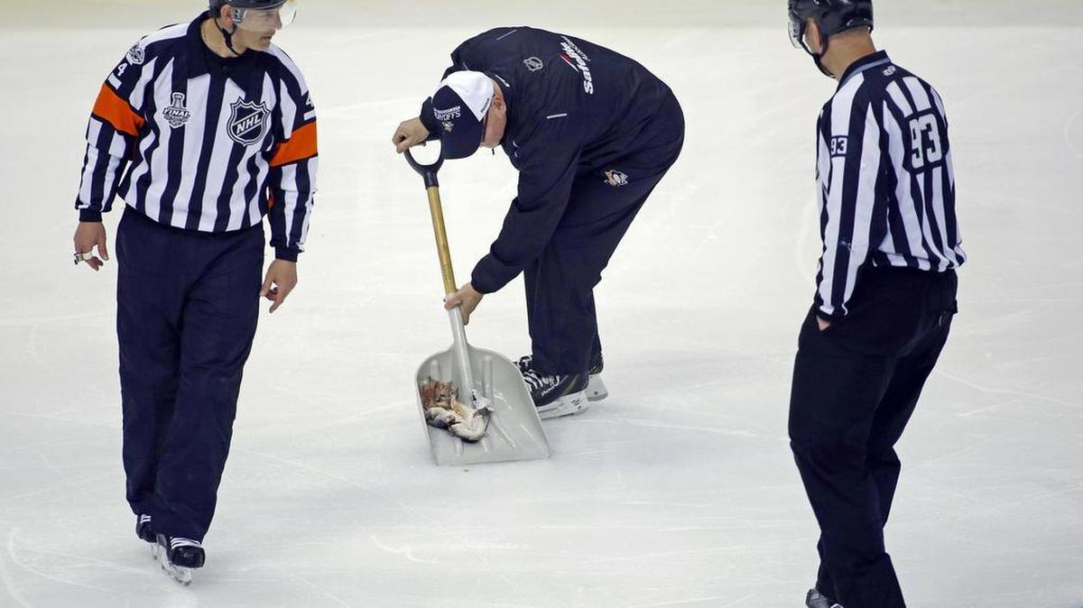 An ice worker removes the catfish during the second period of Game 1 of the Stanley Cup Finals in Pittsburgh. Jacob Waddell, of Nolensville, Tenn., is facing charges after allegedly throwing the dead fish onto the ice.