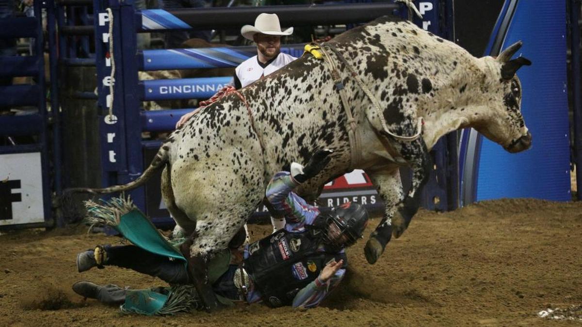 Bull rider Roscoe Jarboe is run over by a bull after falling off during the PBR Blue Def tour stop in Cincinnati, Ohio, on Dec. 6, 2015.