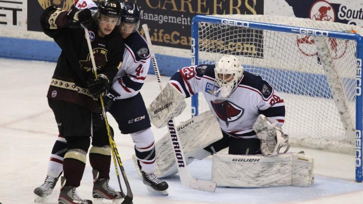 Steelheads goalie Branden Komm was 6-2 with the South Carolina Stingrays of the ECHL this season, allowing 15 goals in eight games.