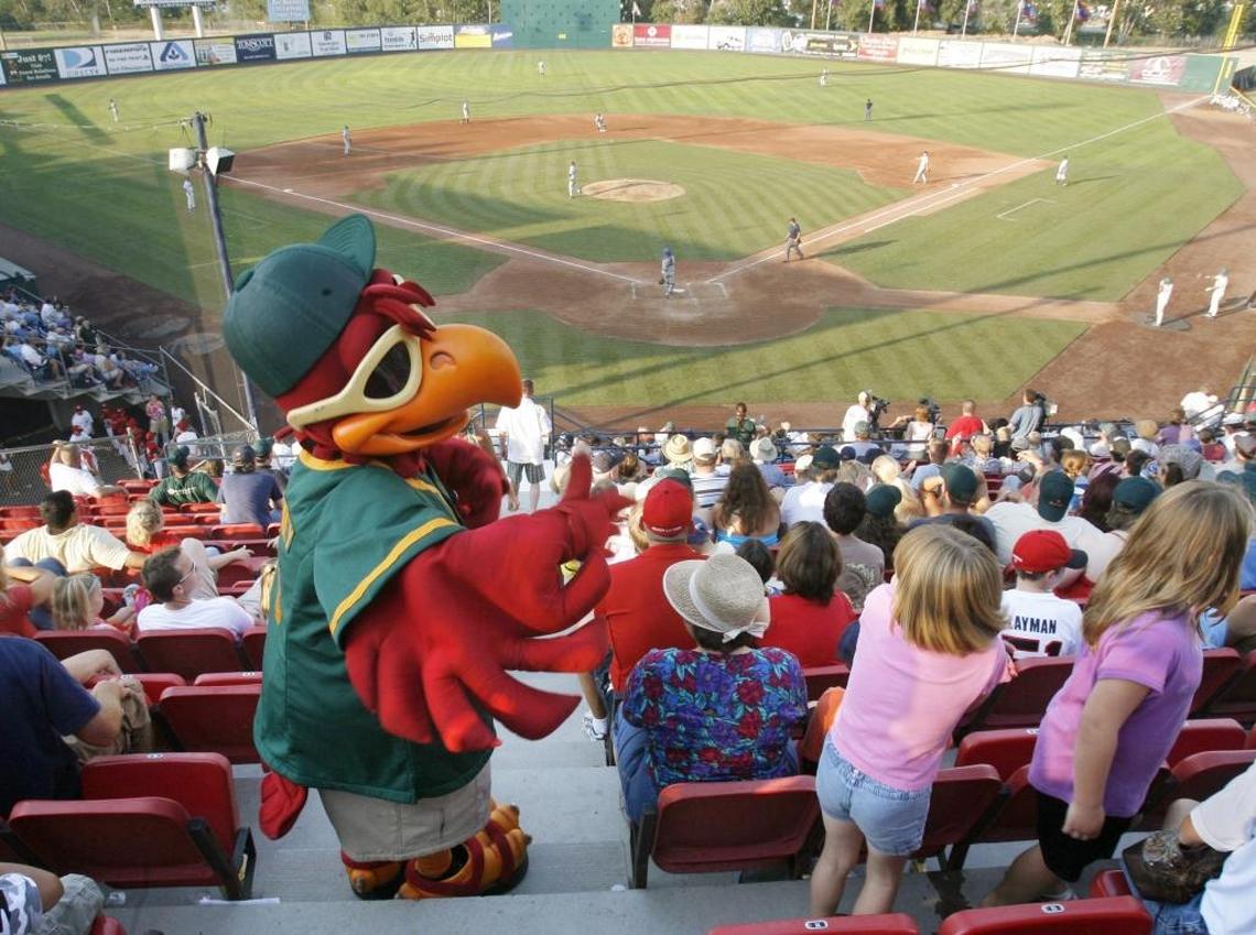 Humphrey, the Boise Hawks mascot, gets the crowd fired up during a 2007 game against the Yakima Bears. One time a manager who had been ejected came back on the field in the mascot outfit.